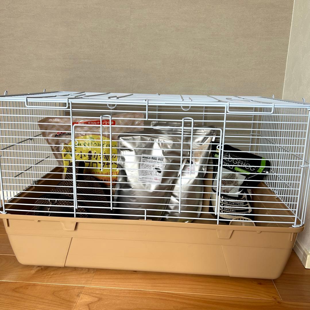 ハリネズミ飼育セット