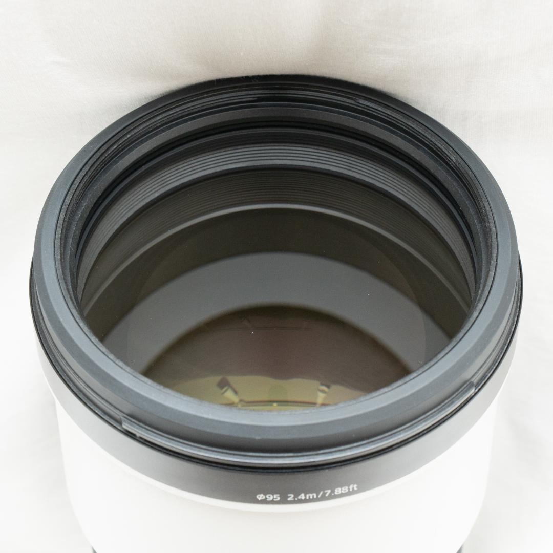 【望遠ズームレンズ】SEL200600G / SONY