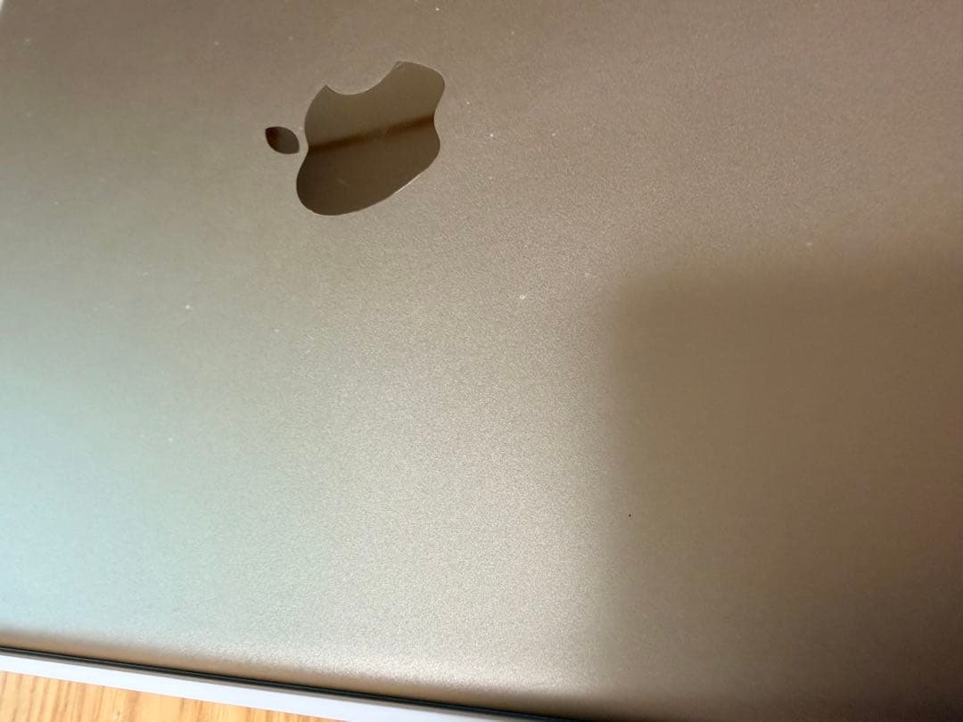 iPad Pro 9.7インチ　ゴールド　128GB