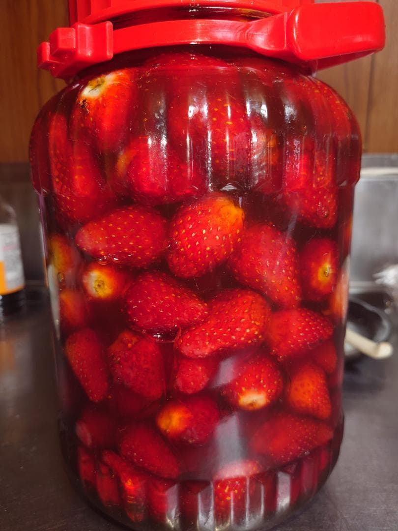 辻さん専用　蜂蜜　でかいの1本　２．５キロ