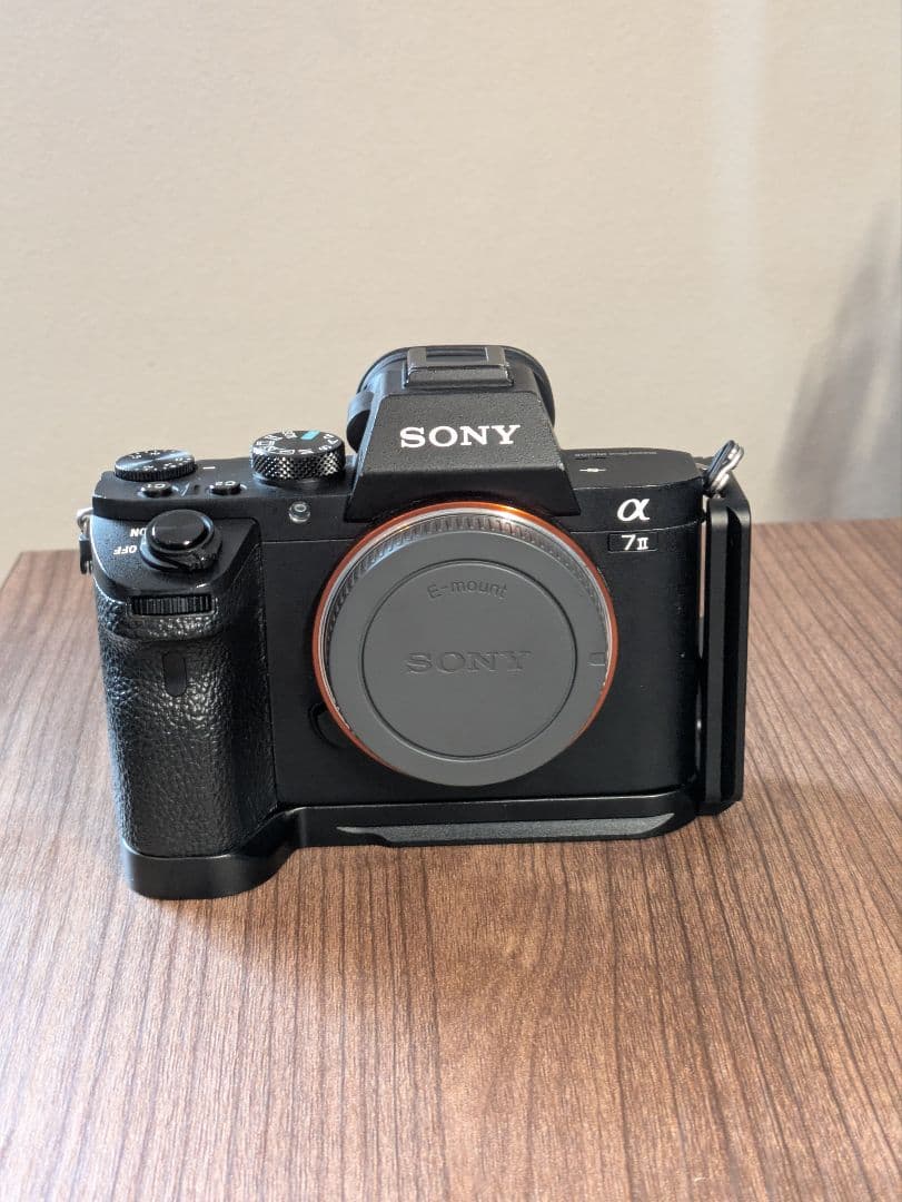付属品追加【美品シャッター 約30000回】SONY α7 IIボディ