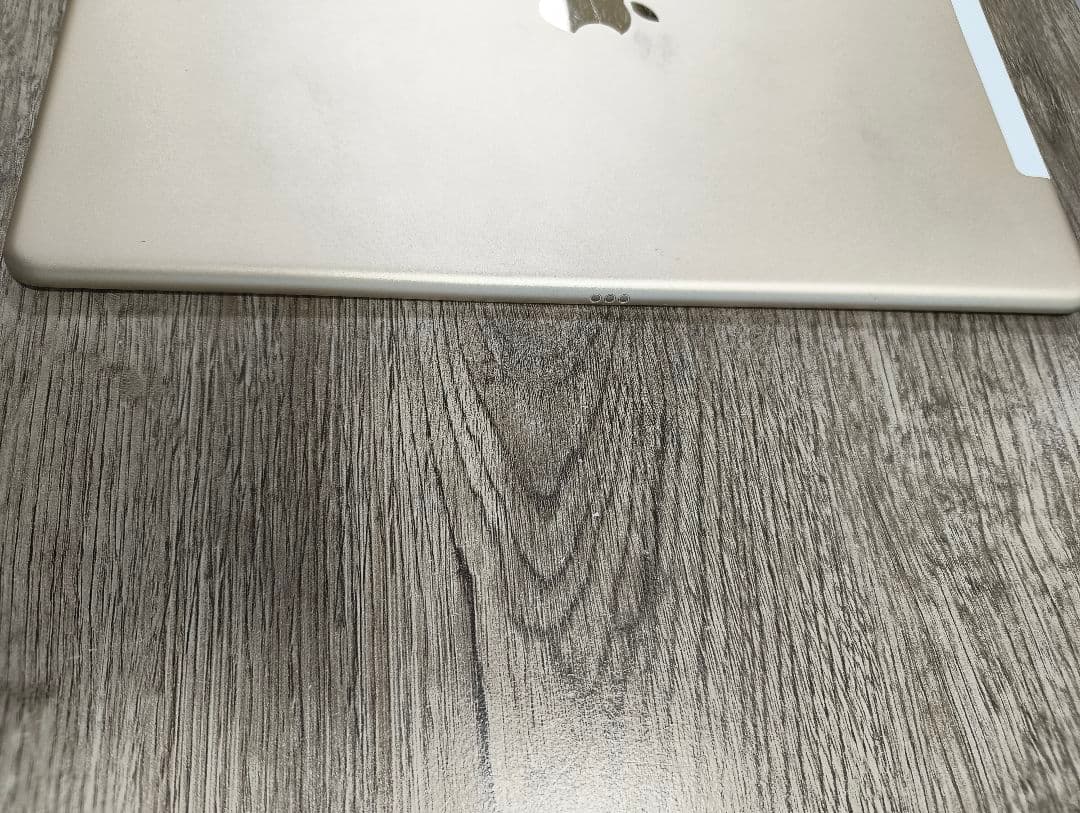 iPad Pro (12.9インチ) 128GB Cellularモデル