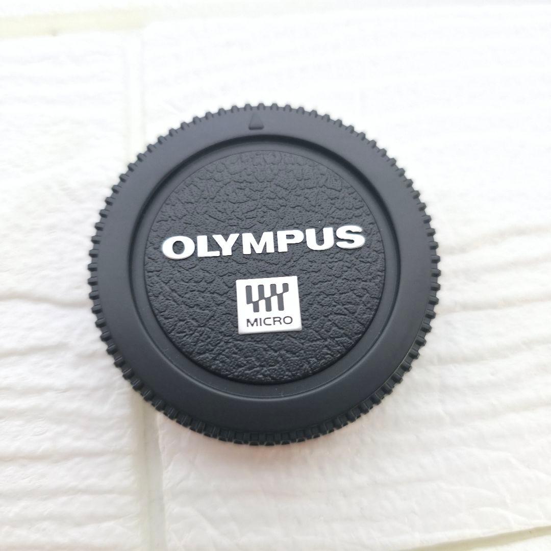 397【極美品】OLYMPUS オリンパス PEN Lite E-PL6