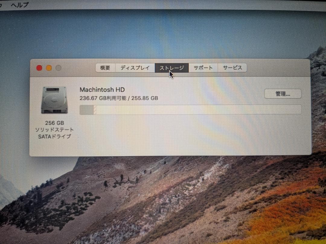 MacBook本体 Apple MacBook Air 11-inch mid 2011 A1465