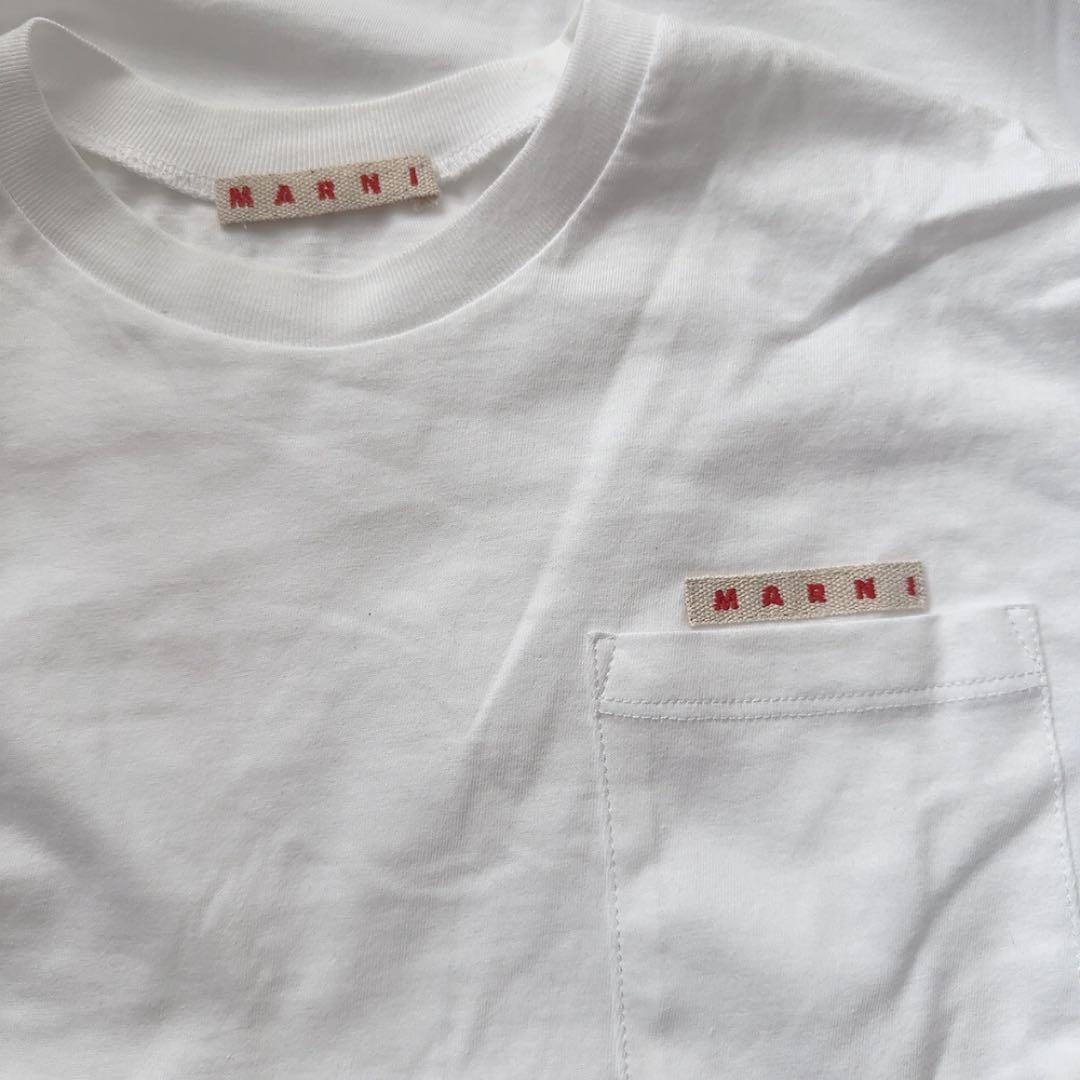 マルニ　半袖　Tシャツ　12サイズ　キッズ