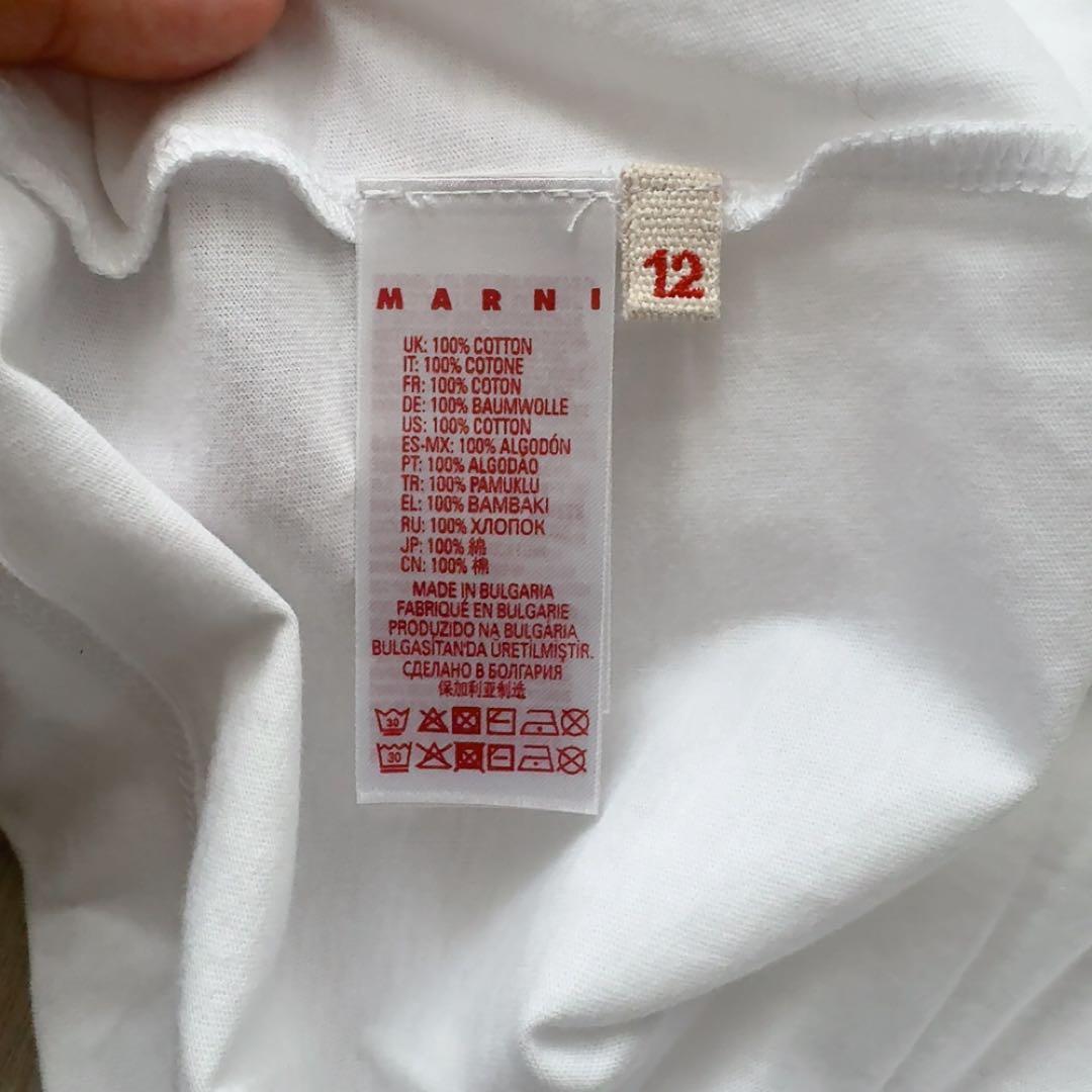 マルニ　半袖　Tシャツ　12サイズ　キッズ