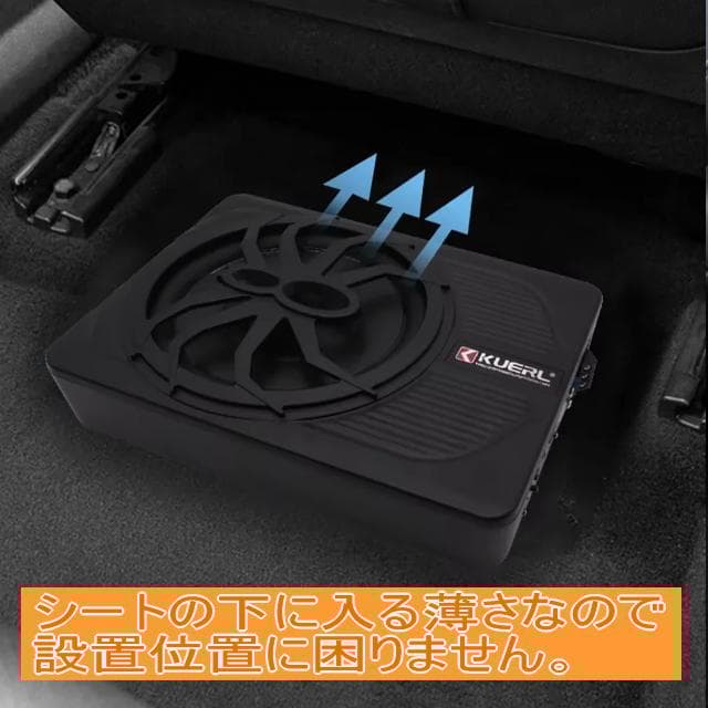 本格派重低音 10インチ 800Wサブウーファー レインボーLED 薄型ウーハー