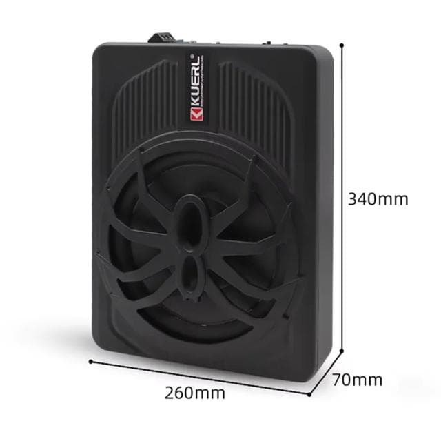 本格派重低音 10インチ 800Wサブウーファー レインボーLED 薄型ウーハー