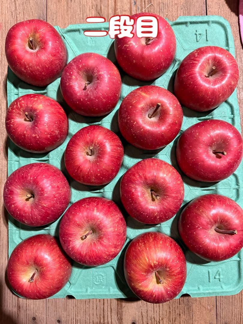 青森県産りんご サンふじ贈答用10kg