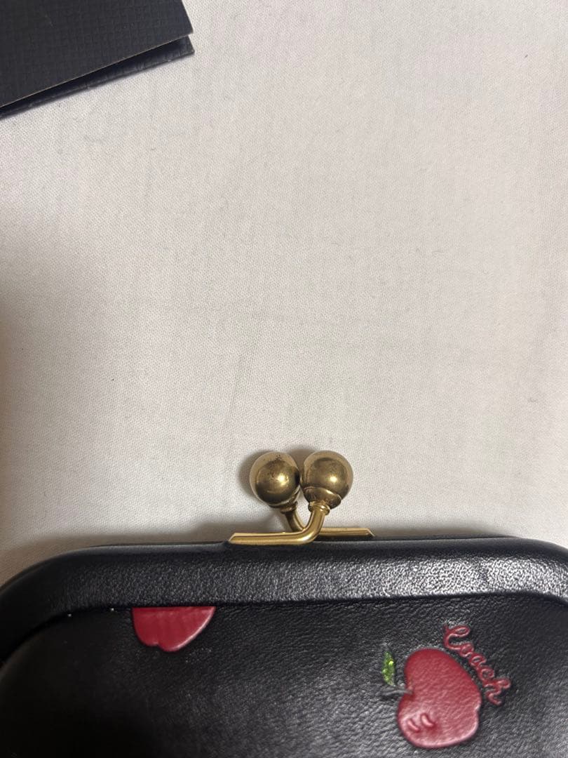 COACH リンゴ柄 ケース