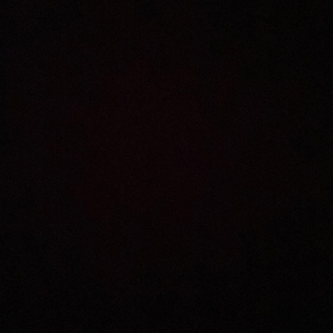 ぎょどん 蝶4頭