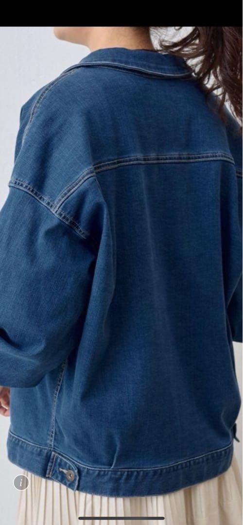 ビアズリーBEARDSLEY袖パフＧジャン