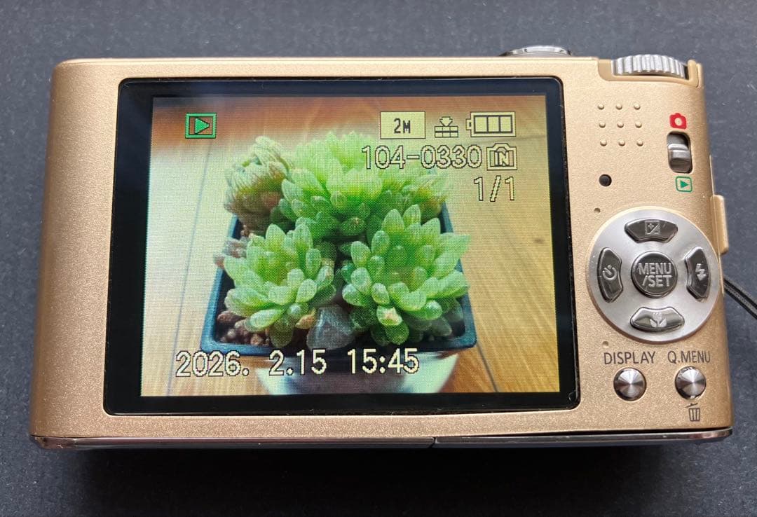 Panasonic LUMIX FX60 デジタルカメラ（ゴールド）動作確認済み