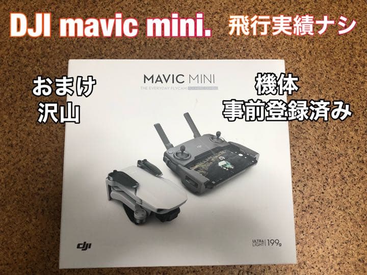 その他 DJI Mavic Mini