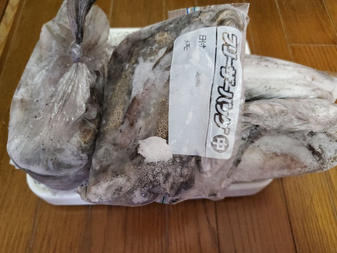 冷凍アオリイカ 約4キロ