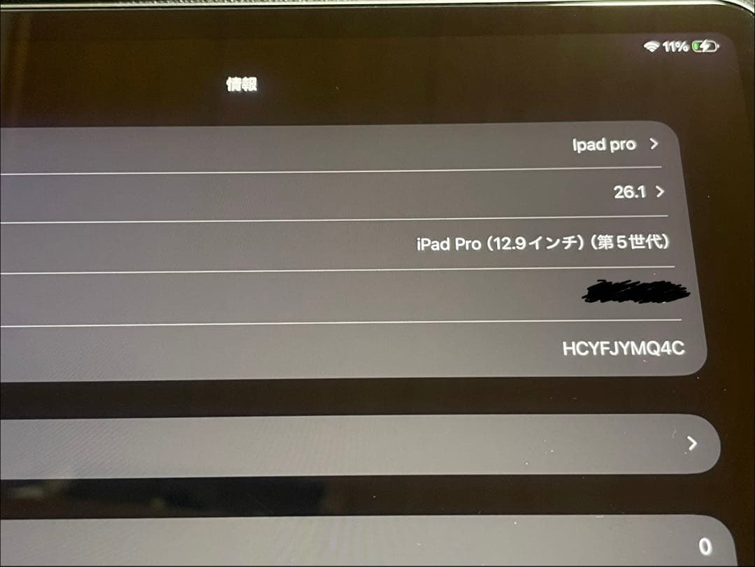 極美品　第五世代 iPad Pro 12.9インチ 128GB スペースグレー