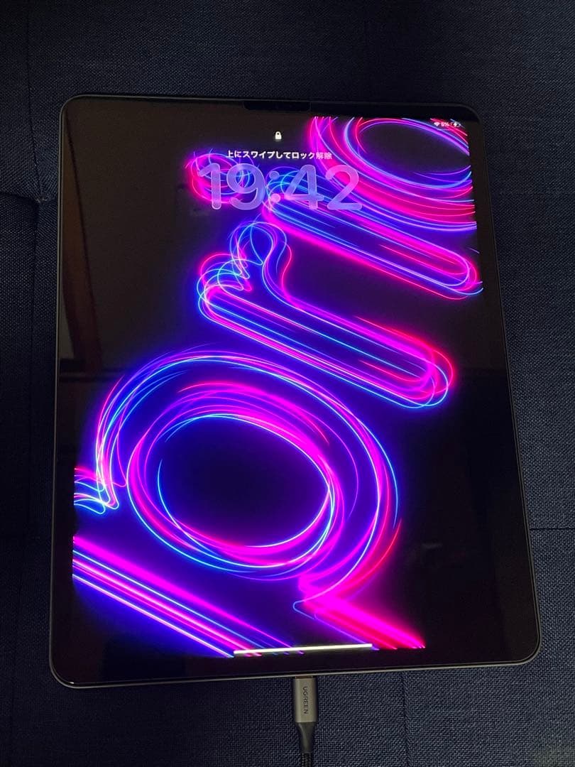 極美品　第五世代 iPad Pro 12.9インチ 128GB スペースグレー