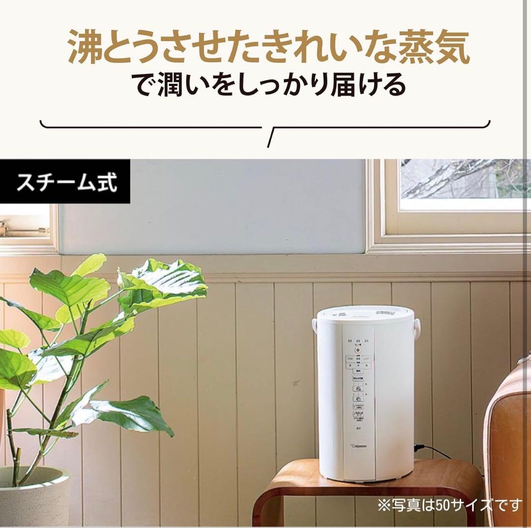 象印 スチーム式加湿器EE-DC50-HA グレー ピカポット付き