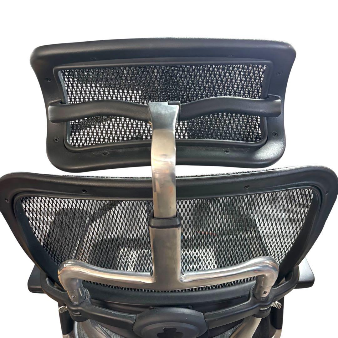 Ergohuman pro エルゴヒューマンプロ 説明書あり ベッドレスト付き