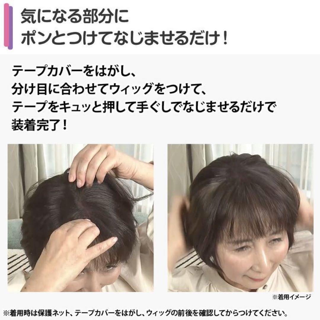 ポシュレ NAO-ART 簡単ウィッグ ナチュラルブラック