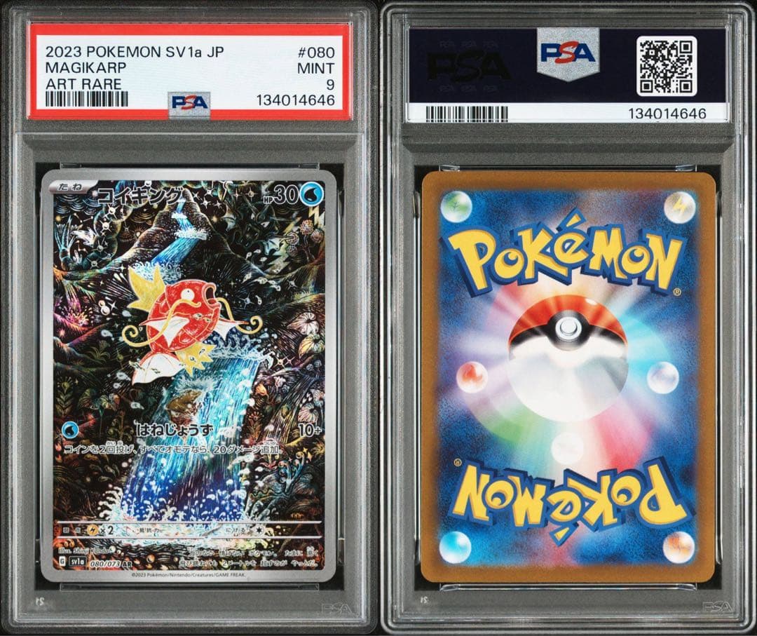 コイキング AR PSA9