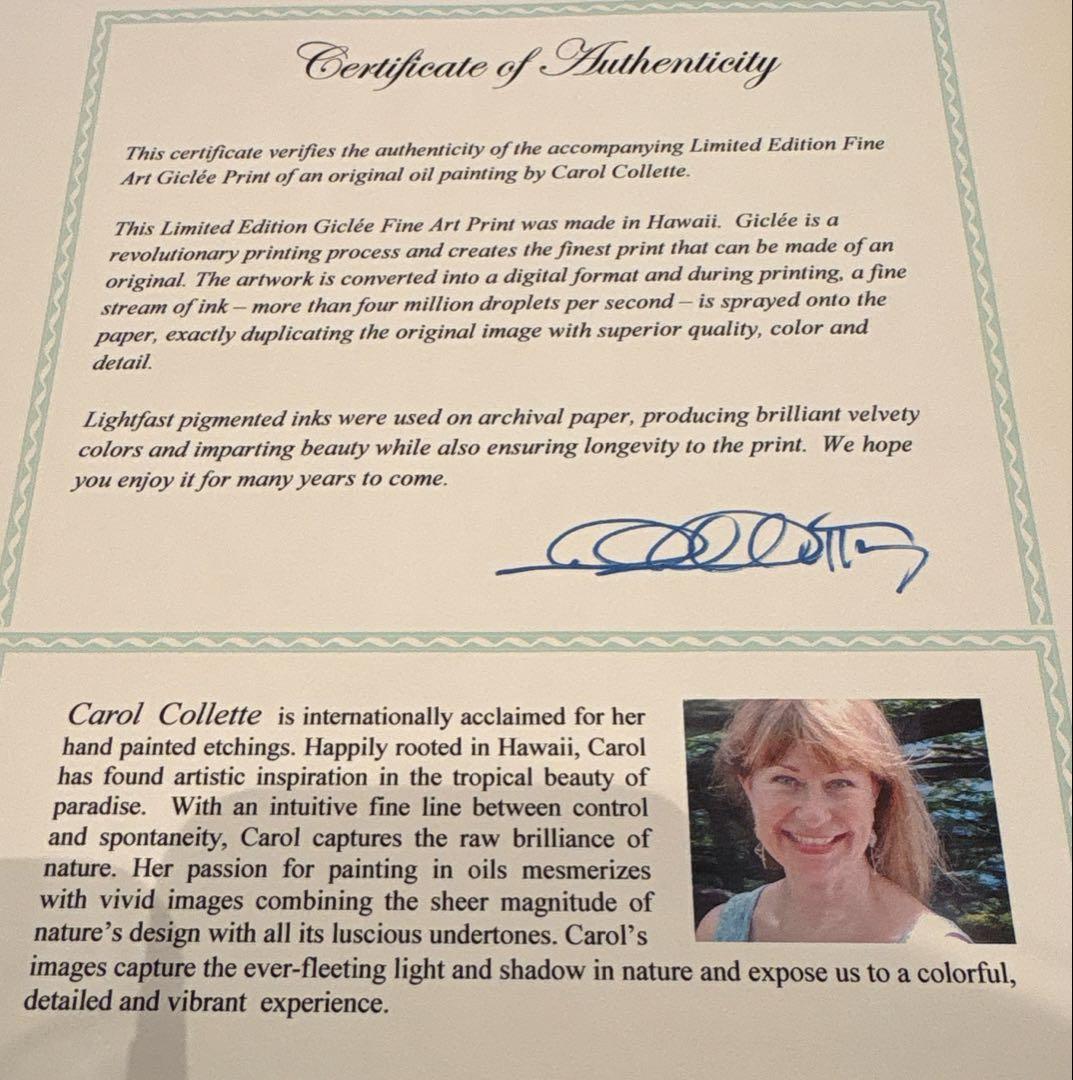 レア☆ キャロル コレット MOANALUA  GARDEN