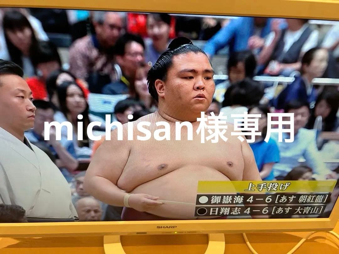 大幅値下げSHARP LC-24K40 液晶カラーテレビ 24インチ2017年