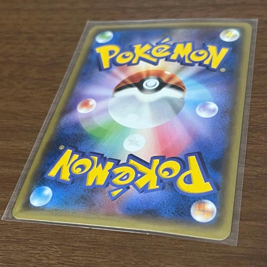 ポンチョを着たピカチュウ　黒　レックウザ