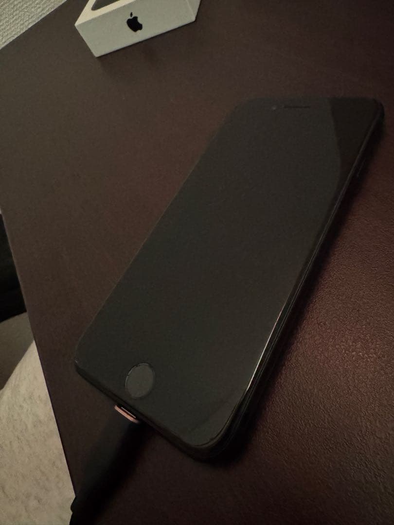 Apple iPhone SE 64GB 充電ケーブル付きバッテリー残量100%