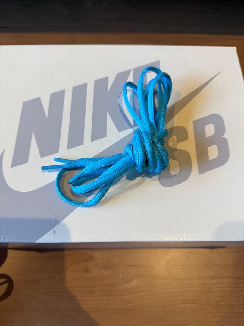 Nike SB Dunk Low Pro Electric Safari 22㎝