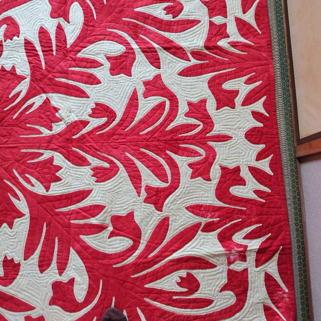 「ひろちゃん」