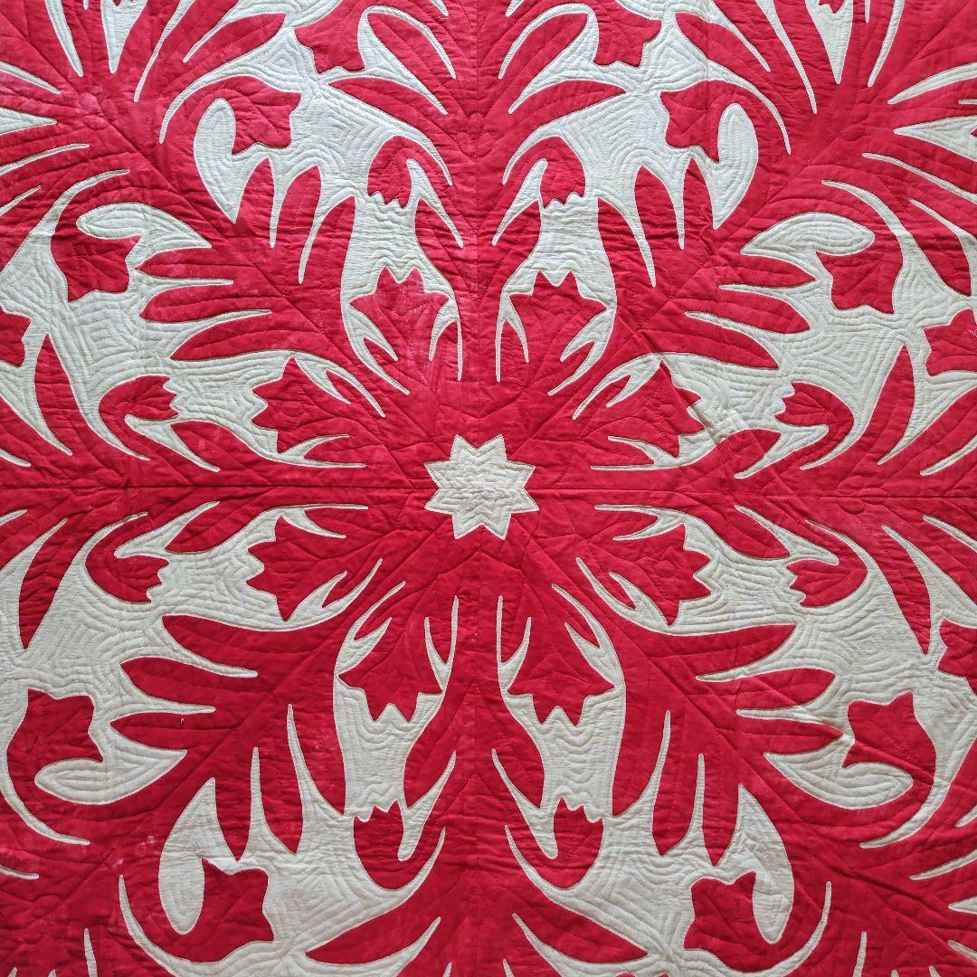 「ひろちゃん」