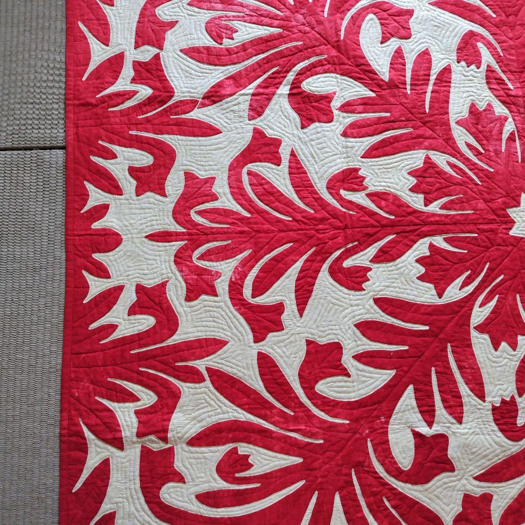 「ひろちゃん」