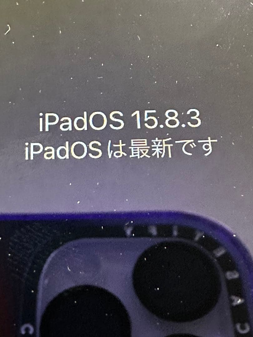 iPad mini4 Wi-Fi + Cellular ゴールド　Apple