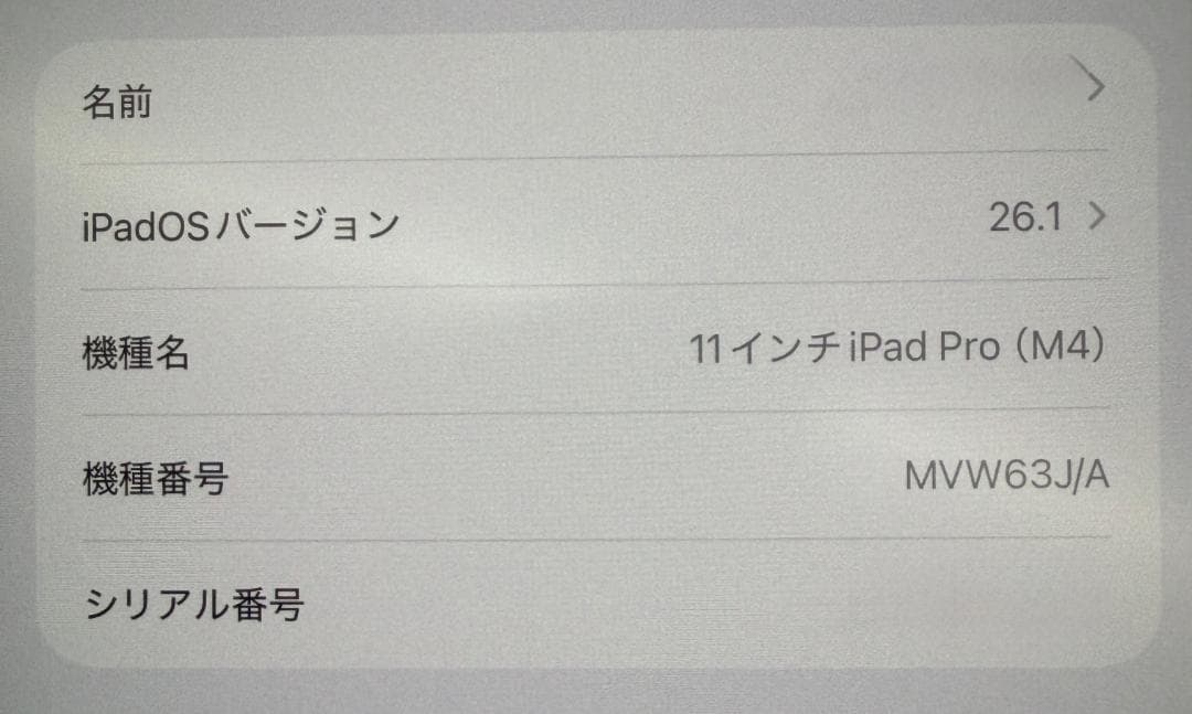 K*y様 iPad Pro 11inch M4 1TB Cellular シルバ