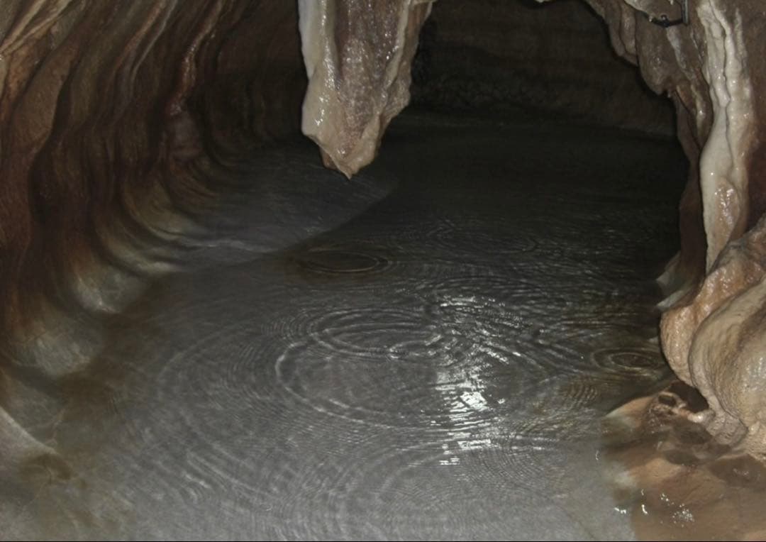 CASIO EXILIM EX-Z1050 デジカメ