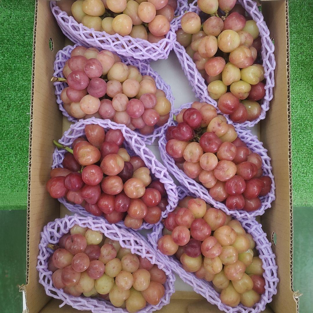 2️⃣ 山梨県産 マイハート ７房入り 箱込み5.4キロ