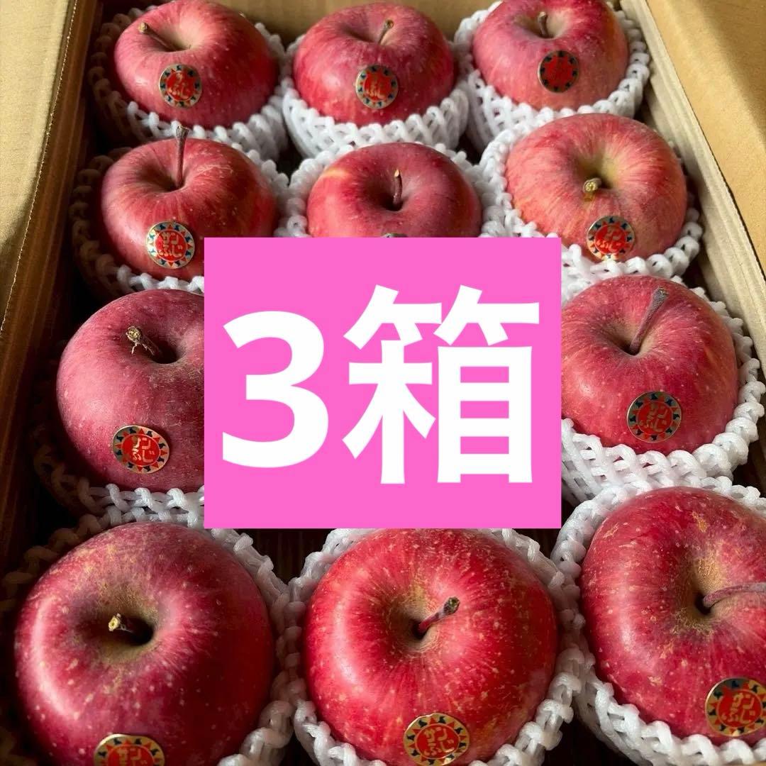 山形県産サンふじ 贈答用　3キロフルーツキャップ１２玉×3箱