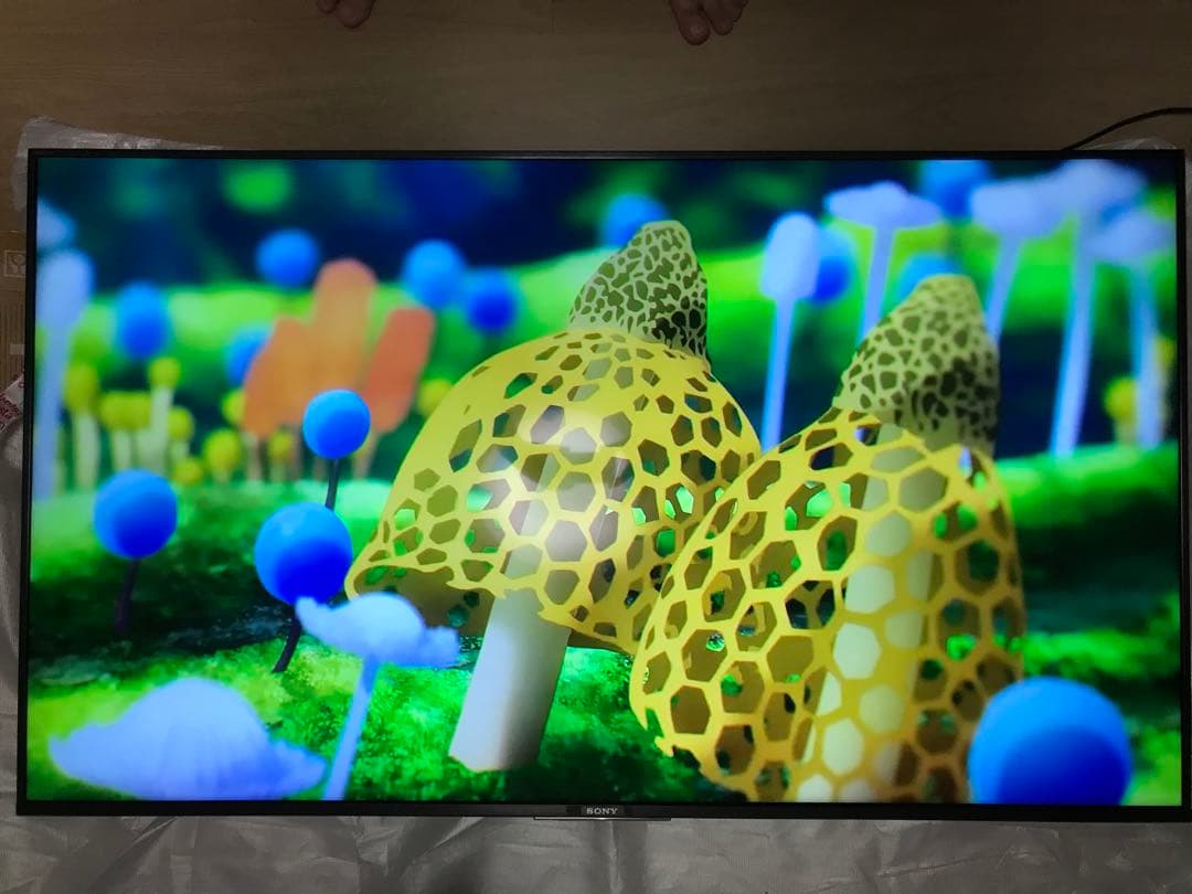 SONY 55V 4K BRAVIA テレビ Alexa対応 Android
