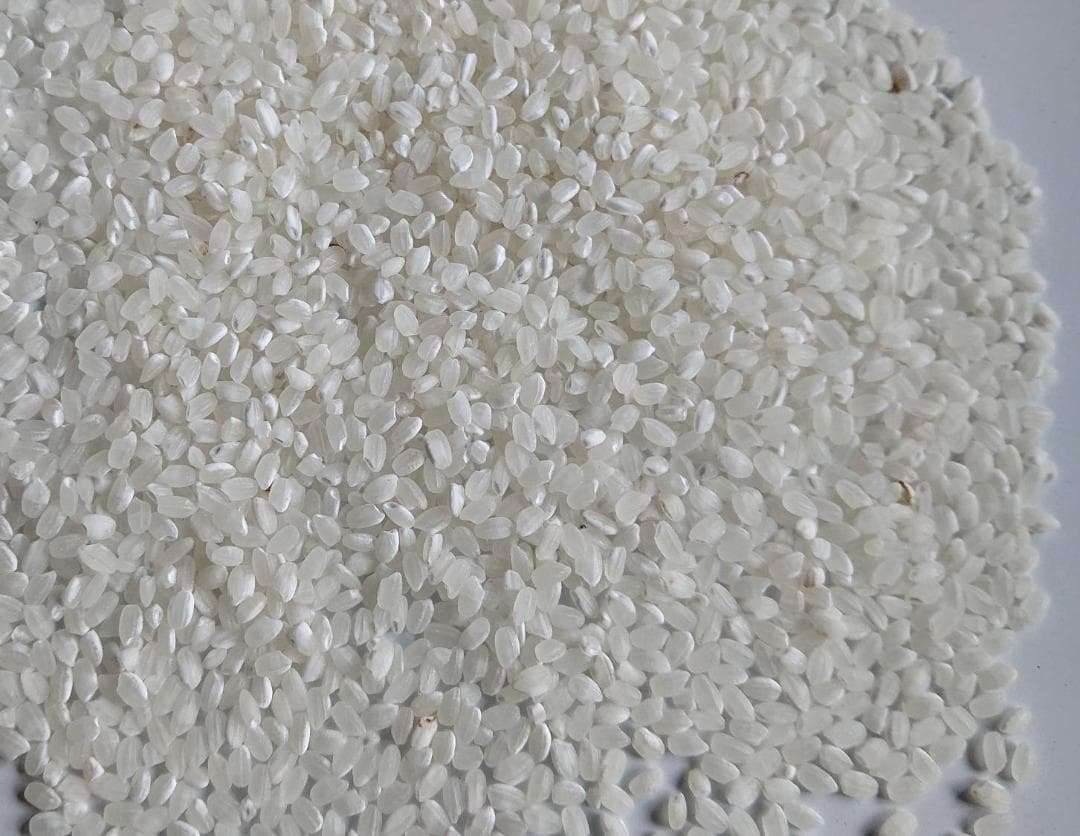 令和７年 コシヒカリ 20kg こしひかり 精米済み 減農薬 お米 米 白米