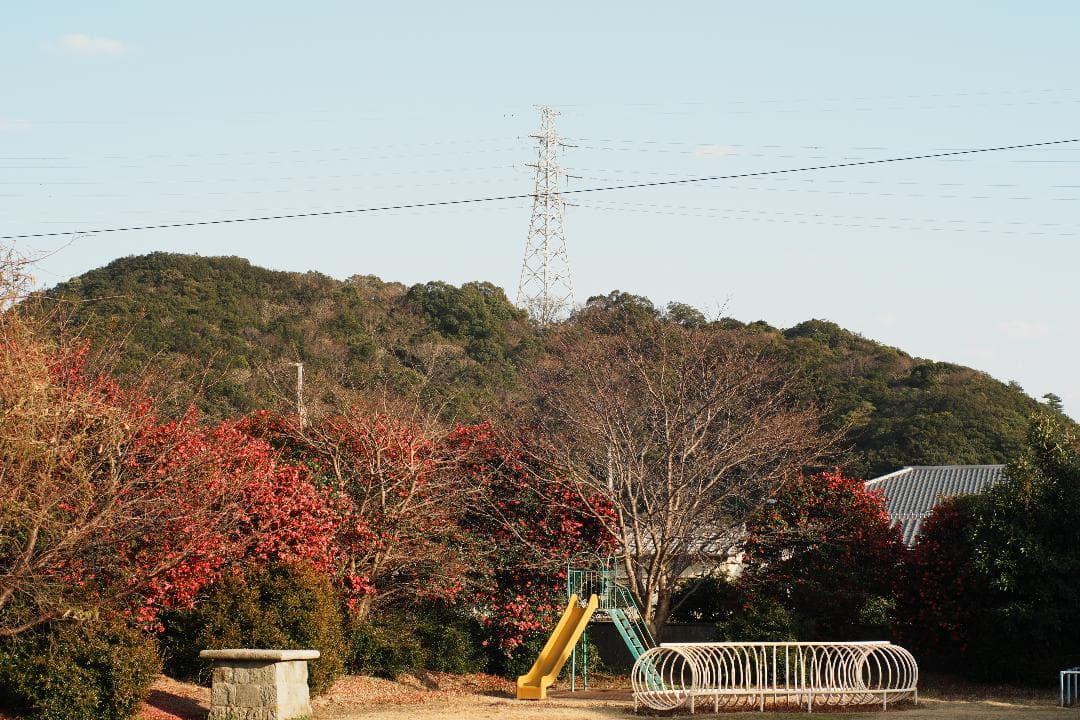 【整備テスト】オリンパス Zuiko Auto-S 40mm F1.4 115