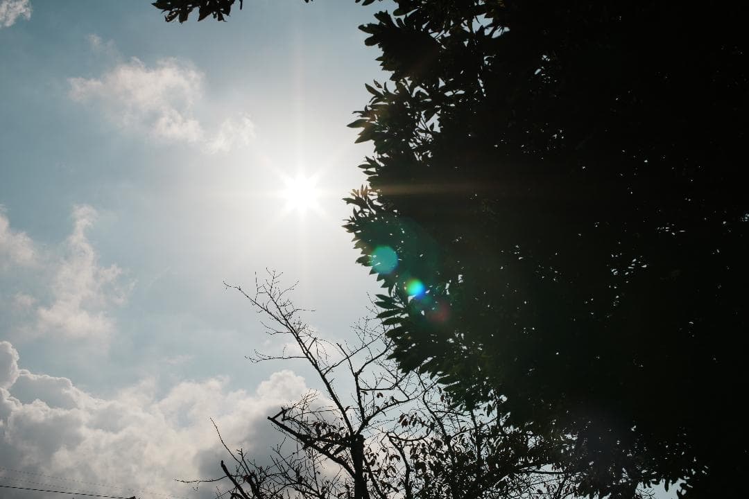 【整備＆テスト済】動作◎ Canon New FD 50mm F1.2 674