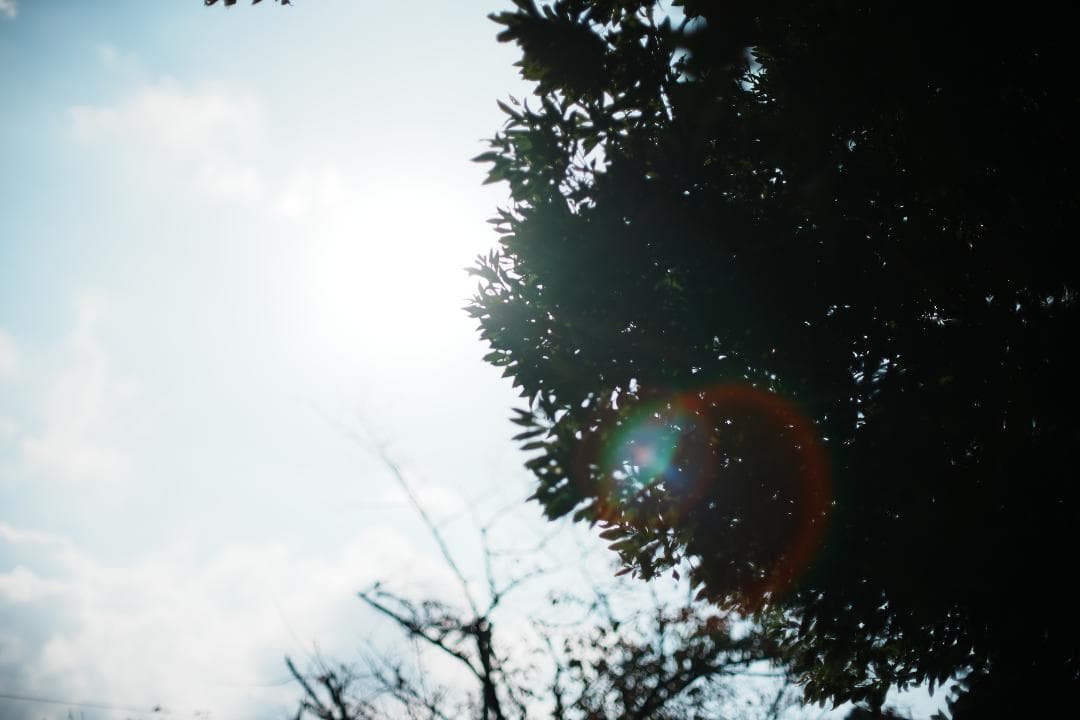 【整備＆テスト済】動作◎ Canon New FD 50mm F1.2 674