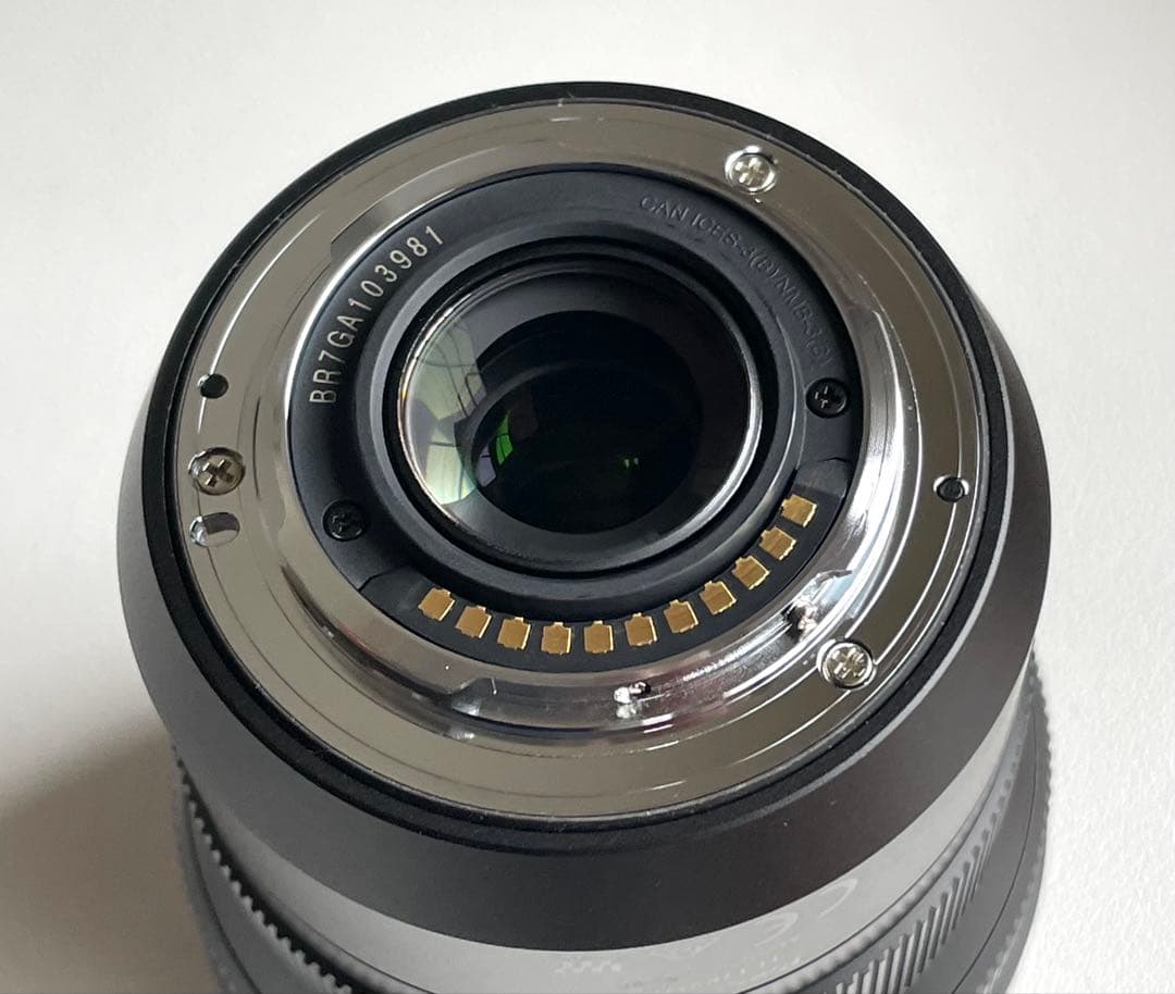 レンズ(ズーム) LEICA DG VRIO-ELMRIT 8-18mm/F2.8-4.0