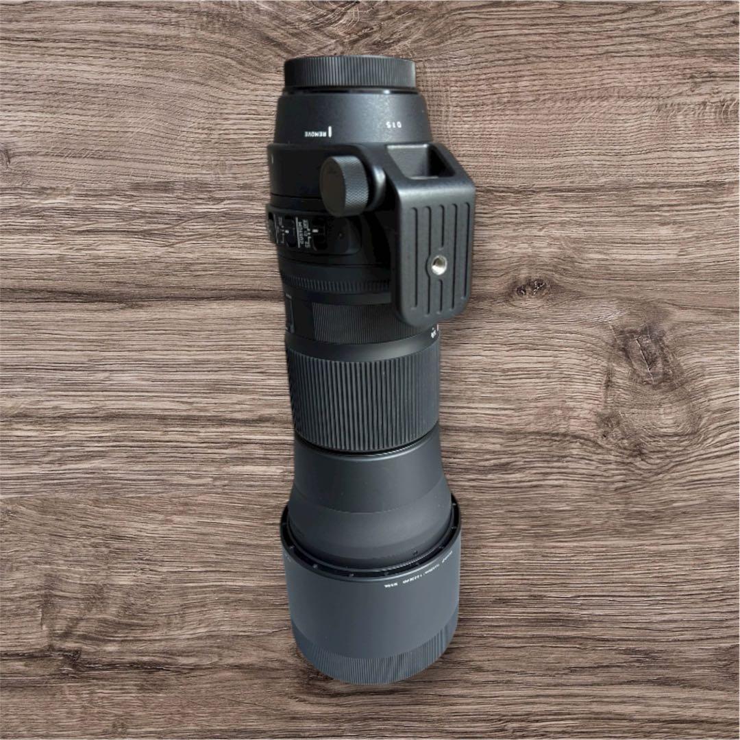 SIGMA 150-600mm F5-6.3 DG Canon EF用