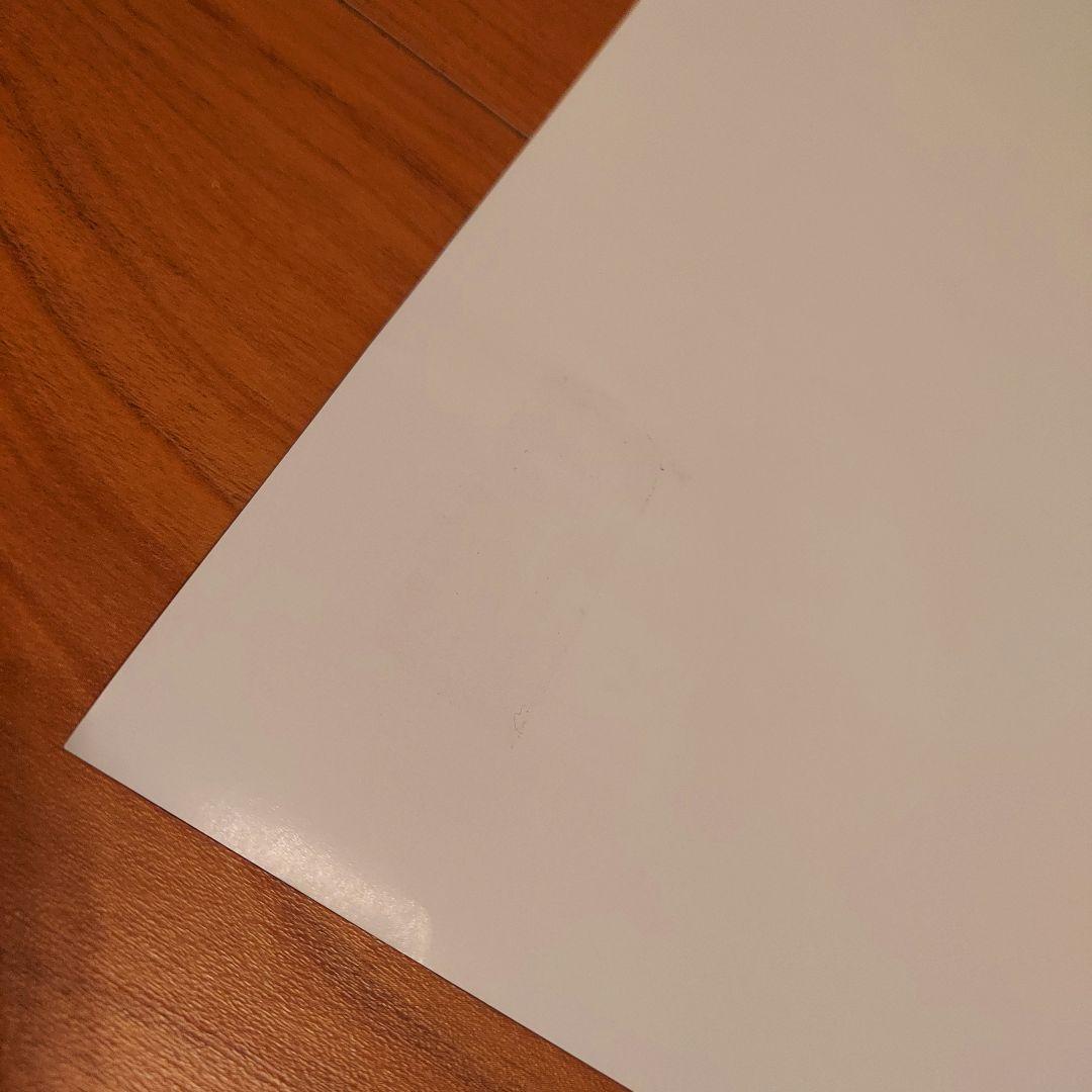 カービィのエアライダー 販促用B2ポスター Switch2