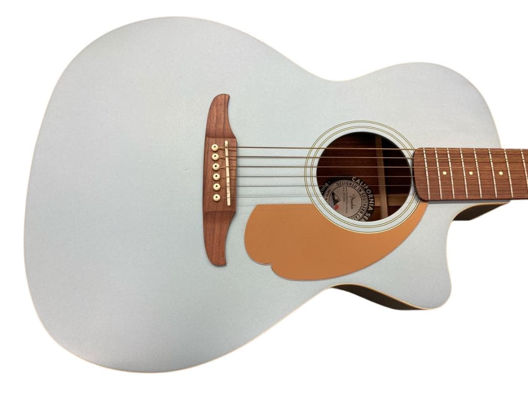 Fender エレアコ Newporter Player IBM WIN