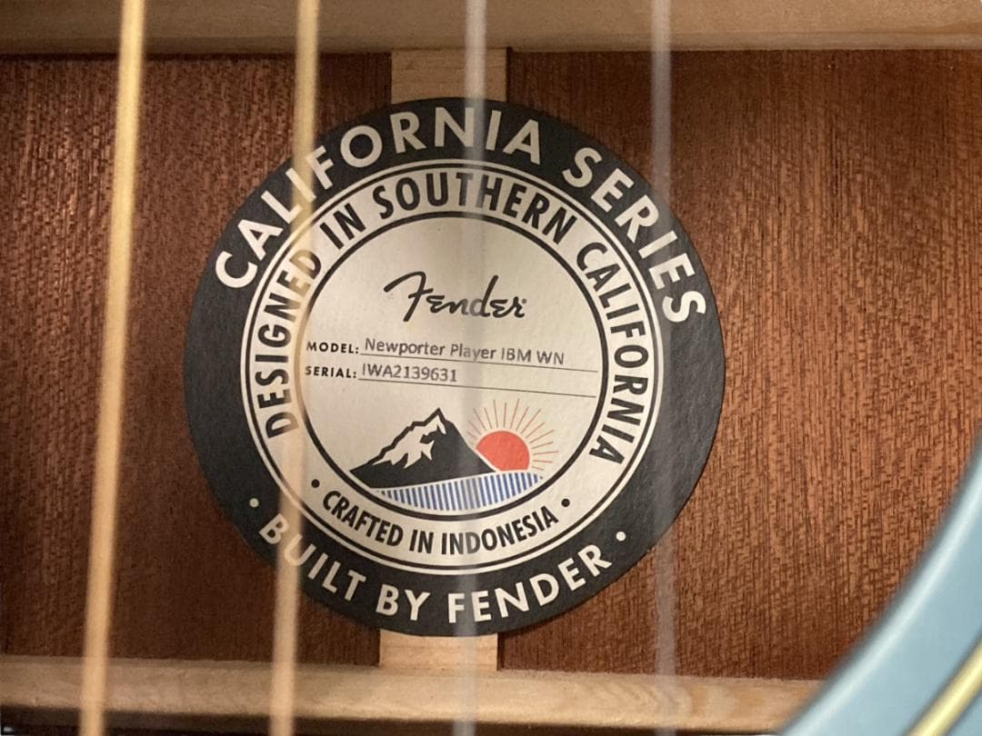 Fender エレアコ Newporter Player IBM WIN