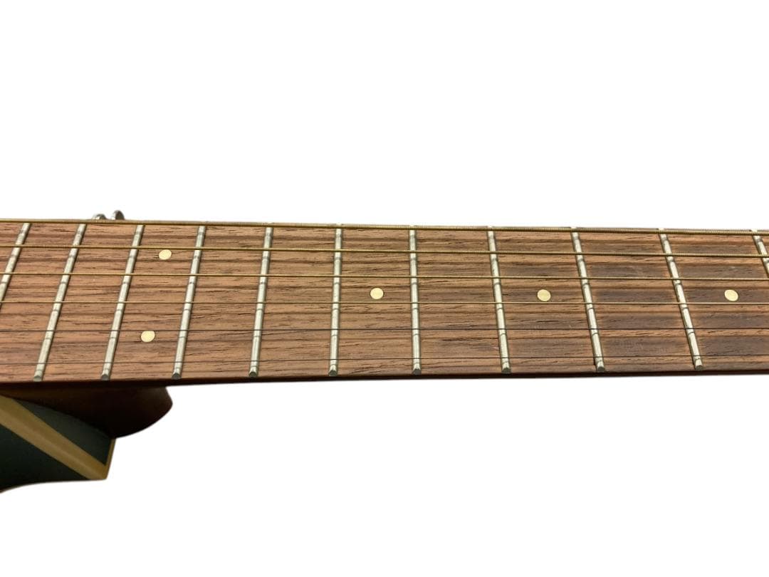 Fender エレアコ Newporter Player IBM WIN