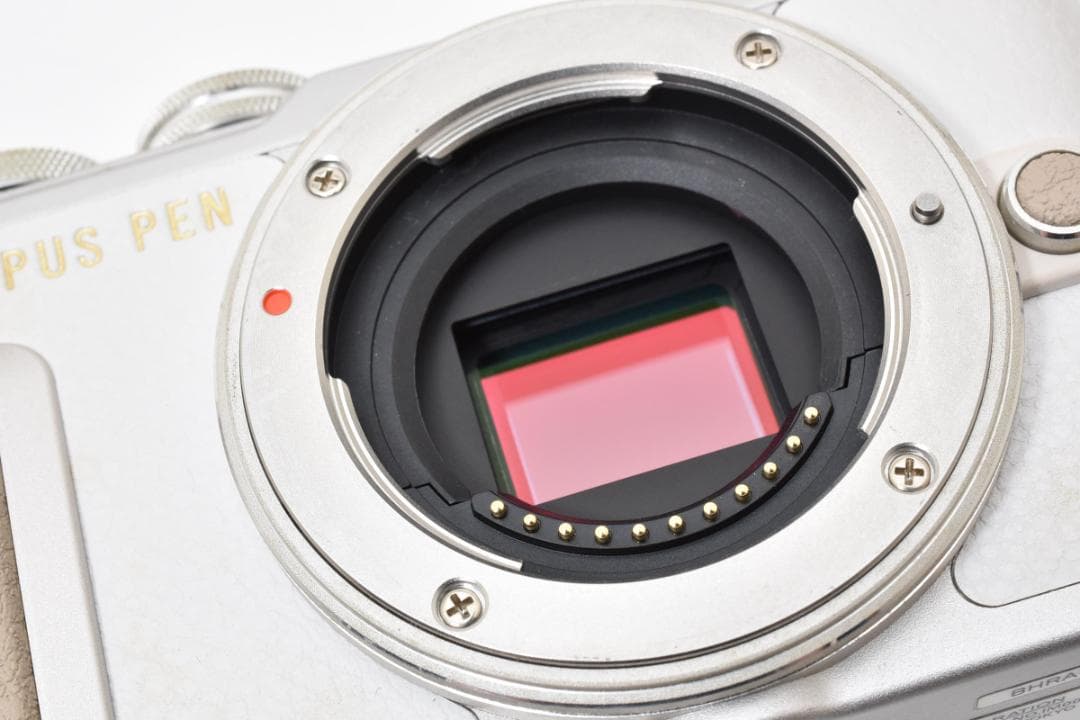 ★超美品★OLYMPUS オリンパス PEN E-PL8 ボディ #21233